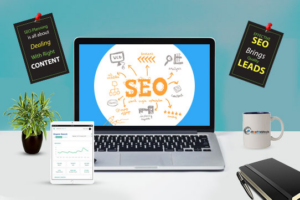 professional search engine optimisation